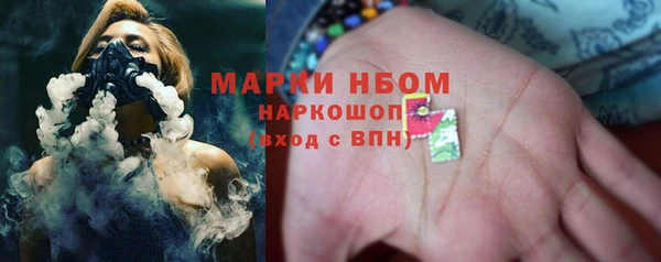 СК Алексин