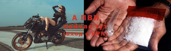 СК Алексин