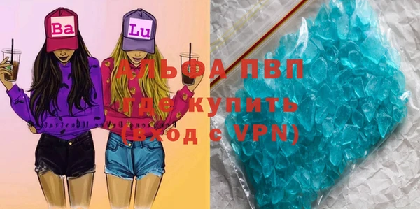 СК Алексин