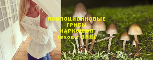 СК Абаза