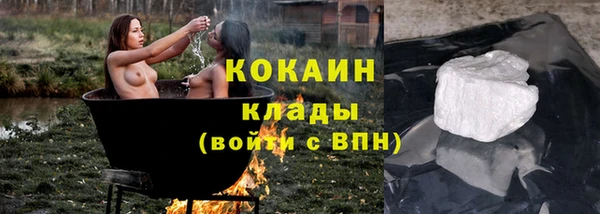 твердый Алзамай