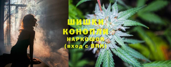 твердый Алзамай