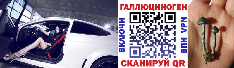 нарко площадка Telegram  дарнет шоп  Звенигород  Галлюциногенные грибы Psilocybe 
