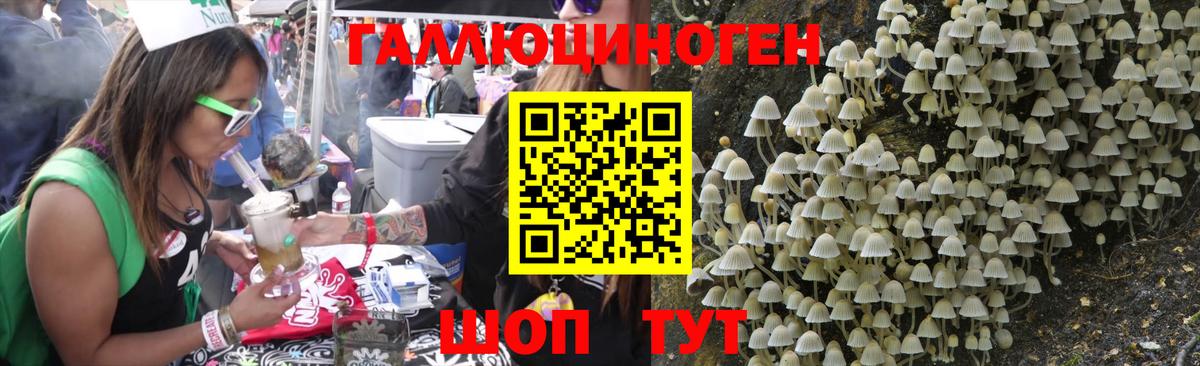 Псилоцибиновые грибы MAGIC MUSHROOMS  Вход с VPN  Звенигород  Псилоцибиновые грибы ЛСД 