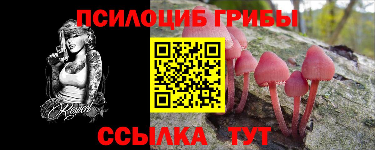Псилоцибиновые грибы мухоморы Звенигород