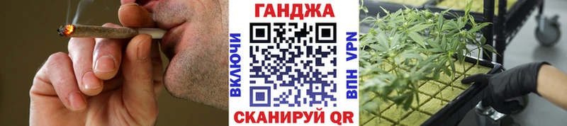 Бошки марихуана сатива Звенигород